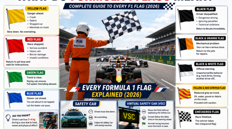 formula-1-flags-explained